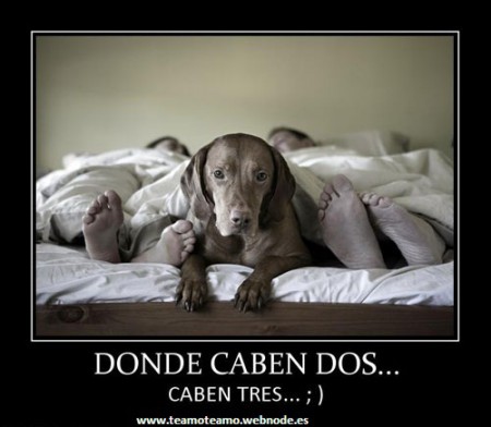 DONDE CABEN DOS... CABEN TRES ;)  